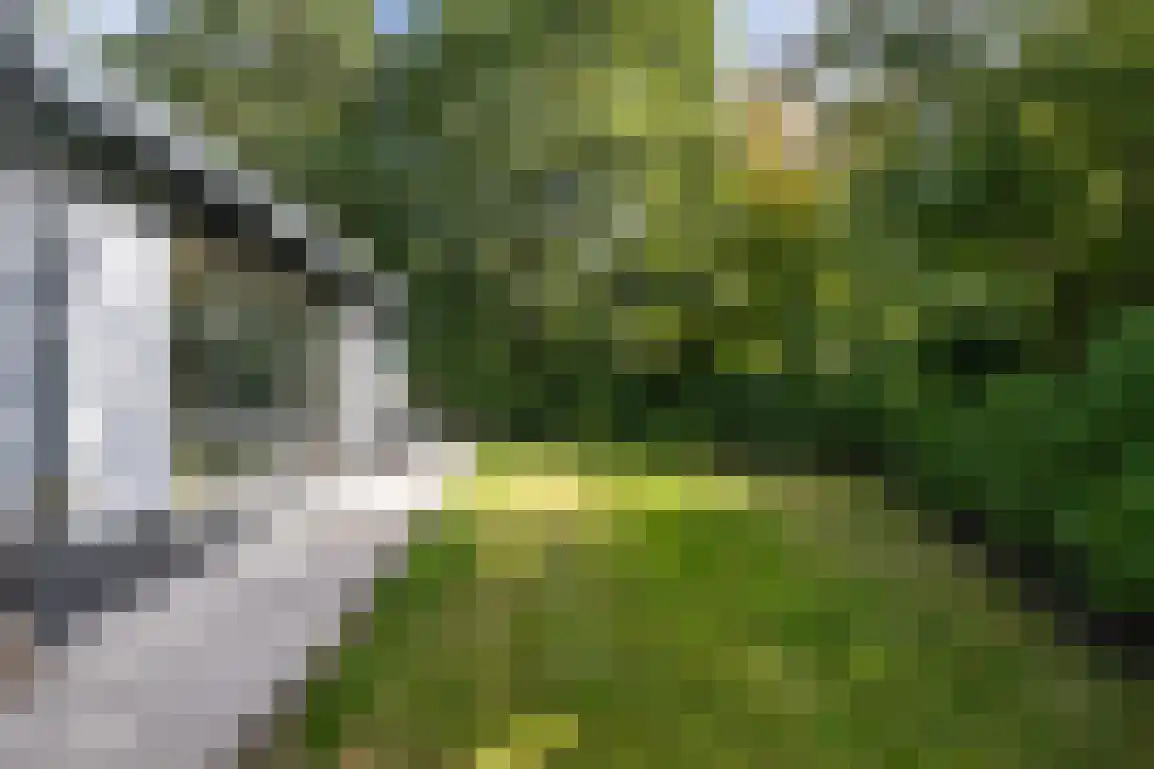 Poldersbos 8 Ouddorp thumbnail 36