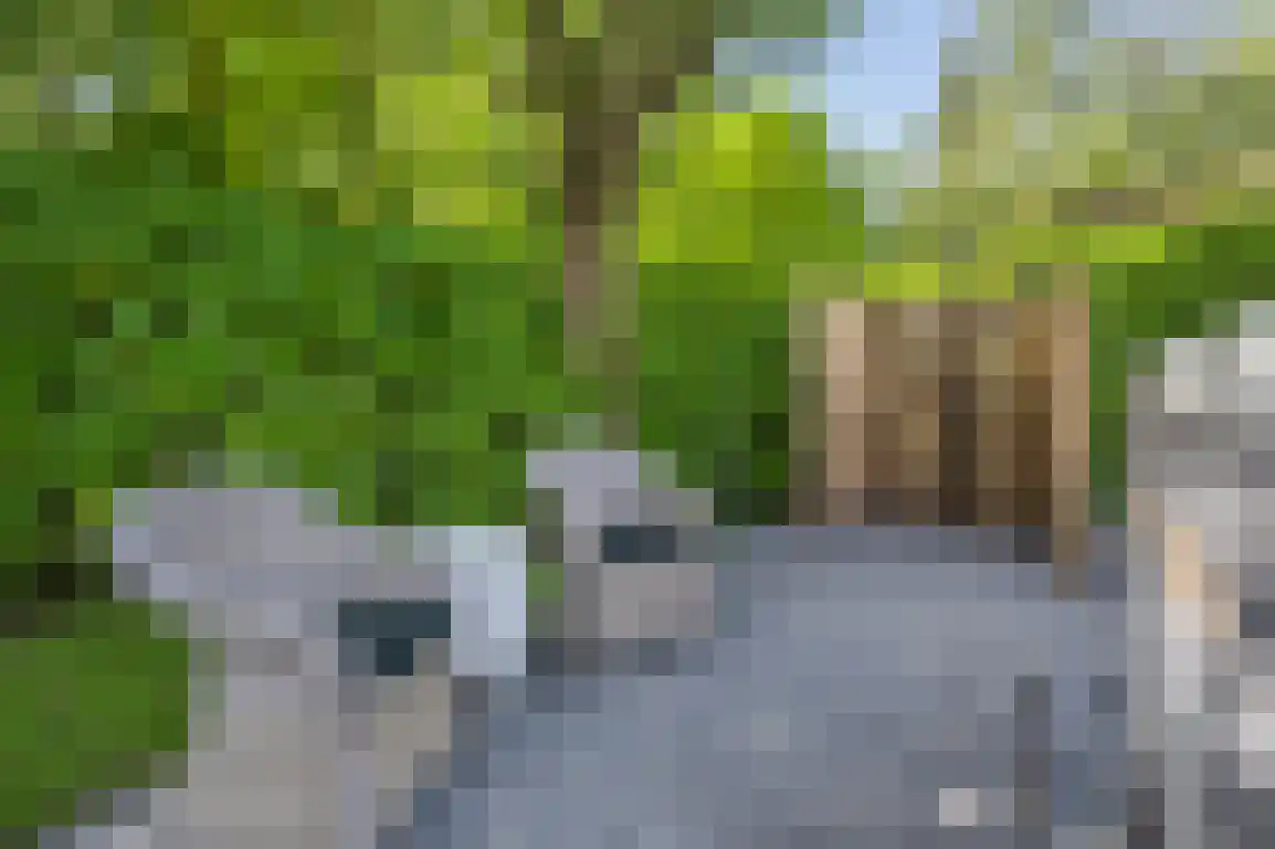 Poldersbos 8 Ouddorp thumbnail 37