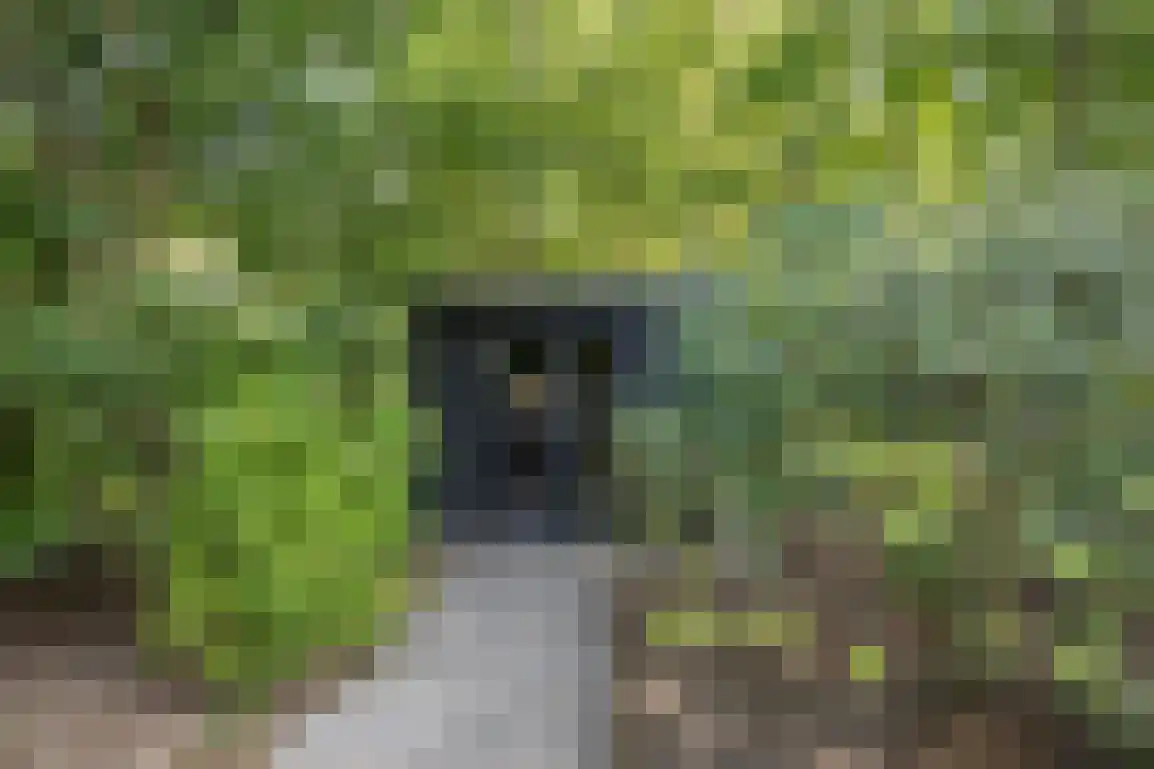 Poldersbos 8 Ouddorp thumbnail 38