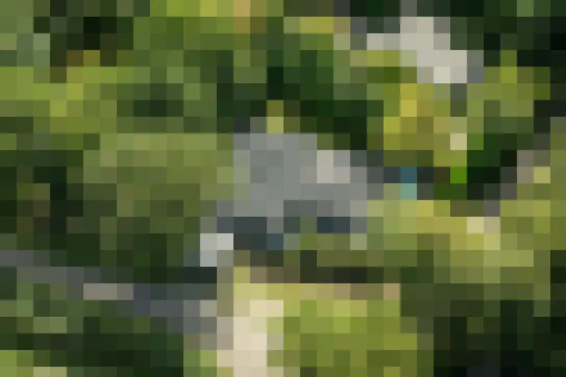Poldersbos 8 Ouddorp thumbnail 39