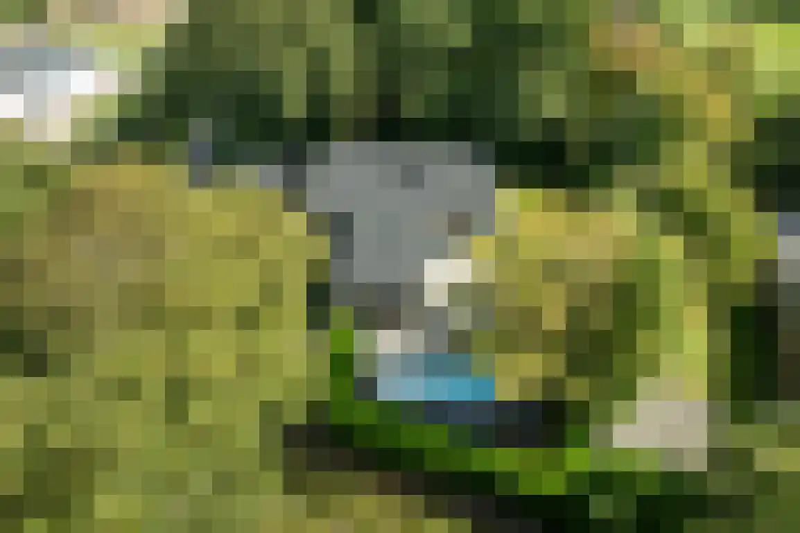 Poldersbos 8 Ouddorp thumbnail 40