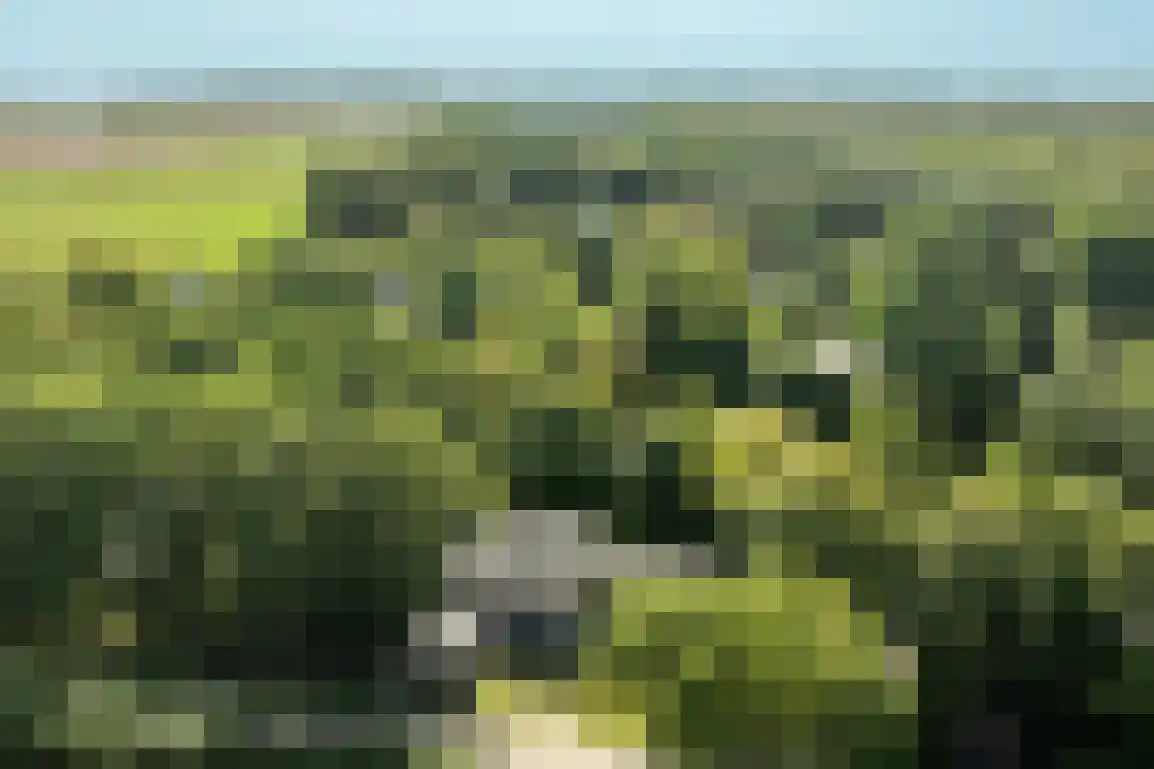 Poldersbos 8 Ouddorp thumbnail 41