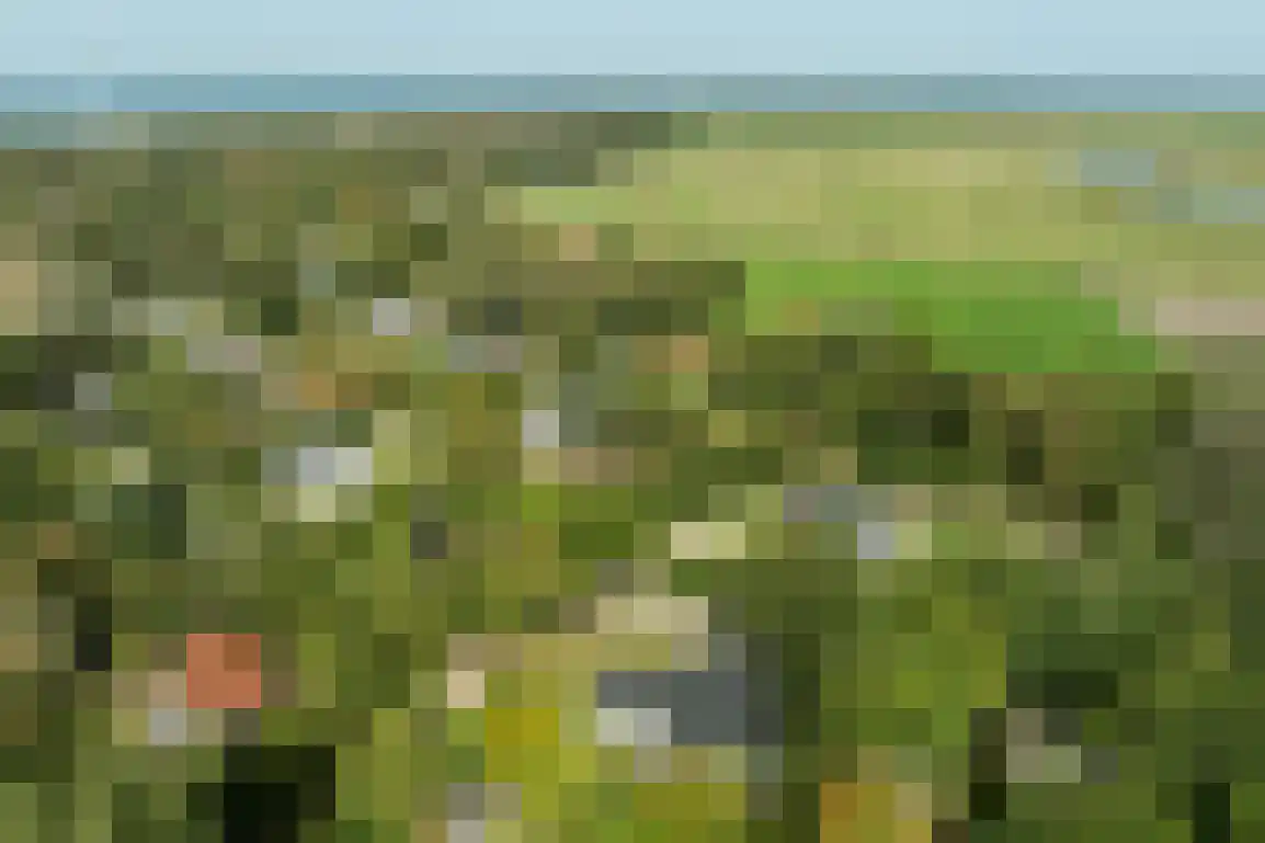 Poldersbos 8 Ouddorp thumbnail 42