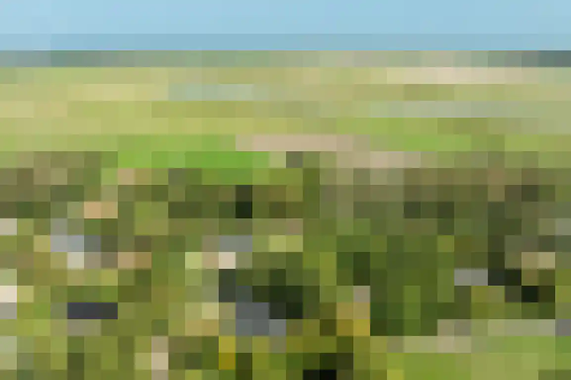 Poldersbos 8 Ouddorp thumbnail 43