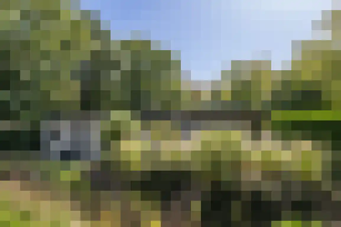 Poldersbos 8 Ouddorp thumbnail 44