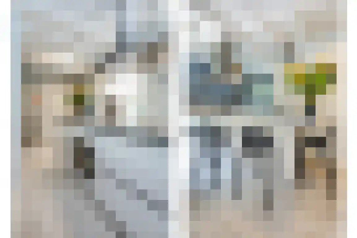 Poldersbos 8 Ouddorp thumbnail 5