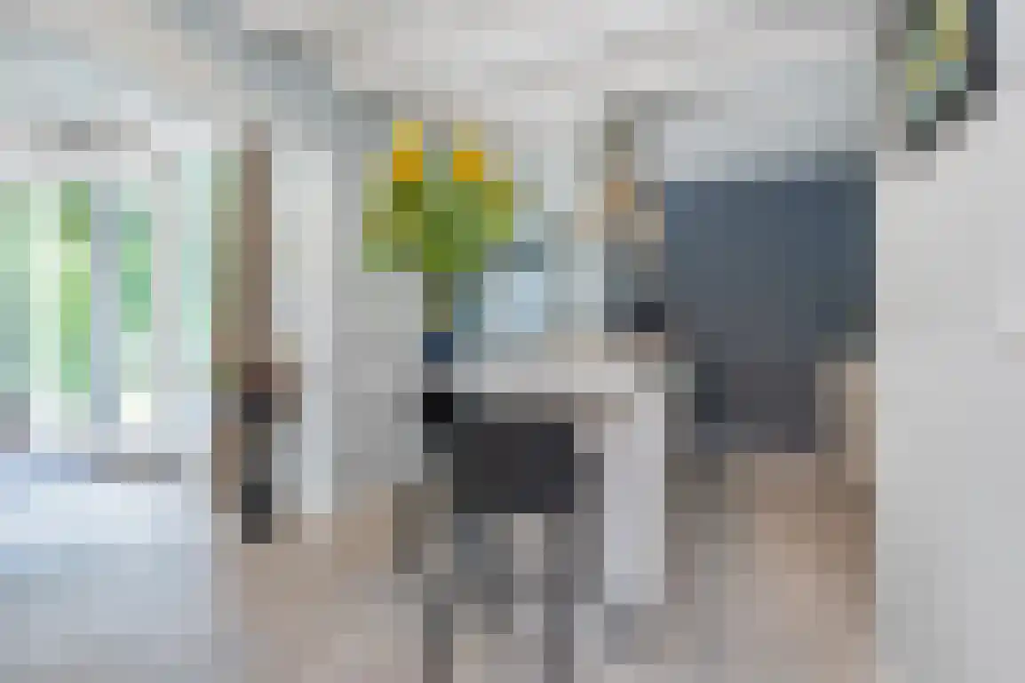 Poldersbos 8 Ouddorp thumbnail 8