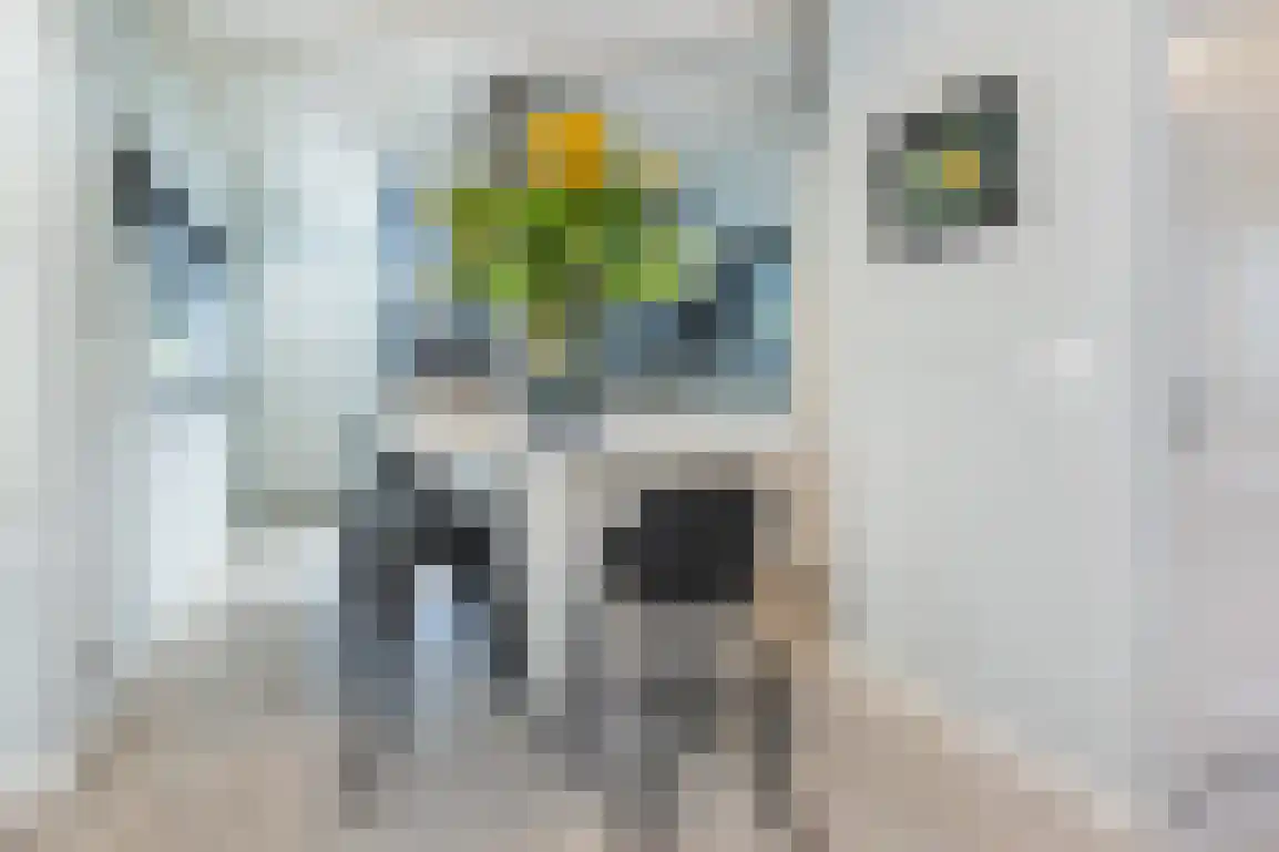 Poldersbos 8 Ouddorp thumbnail 9