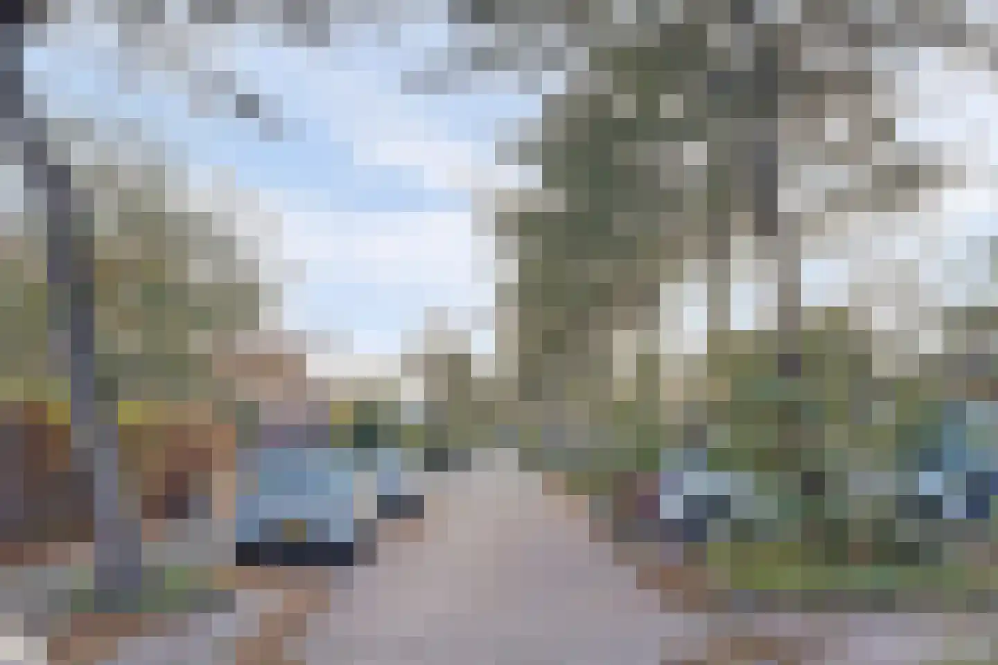 Poldersmeetlaan 53 Zuidland thumbnail 27