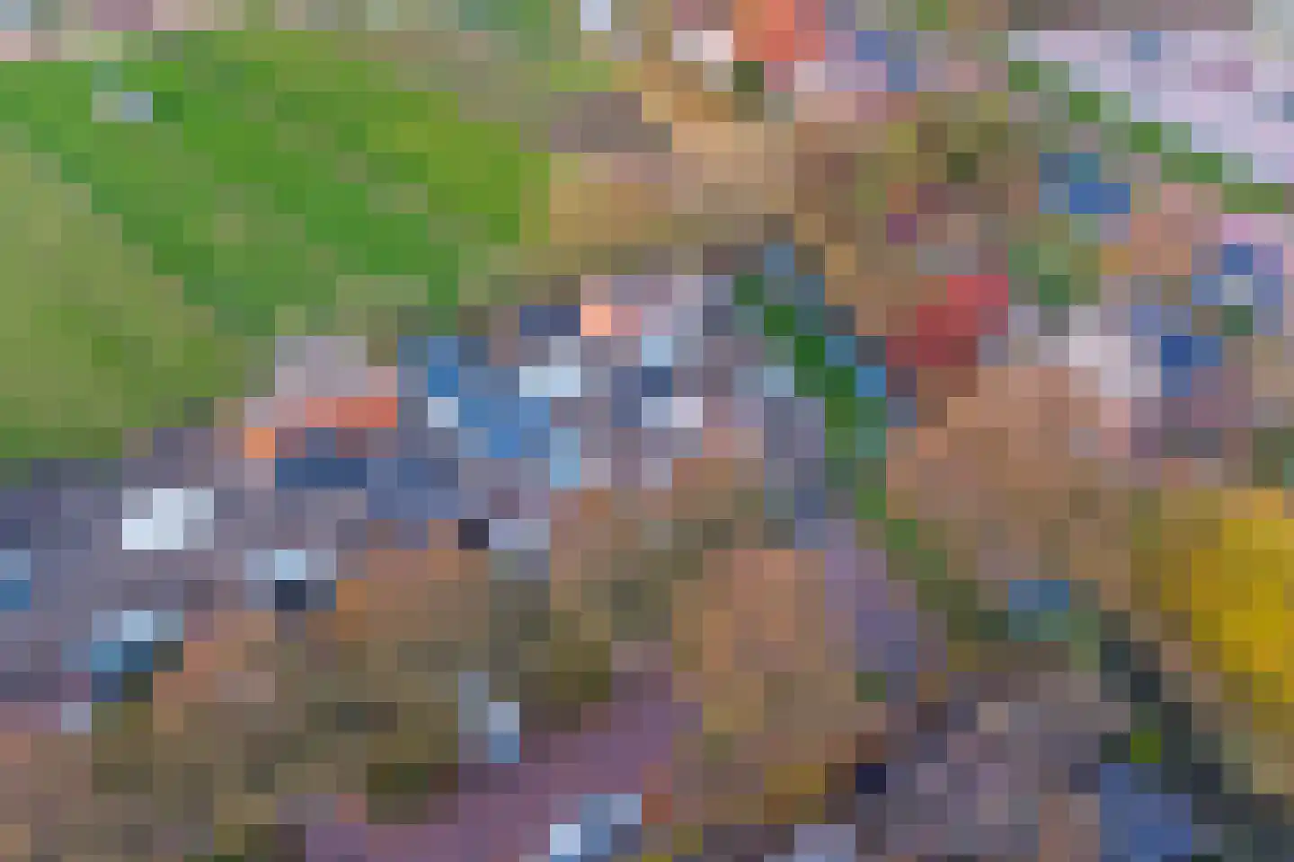 Poldersmeetlaan 53 Zuidland thumbnail 31