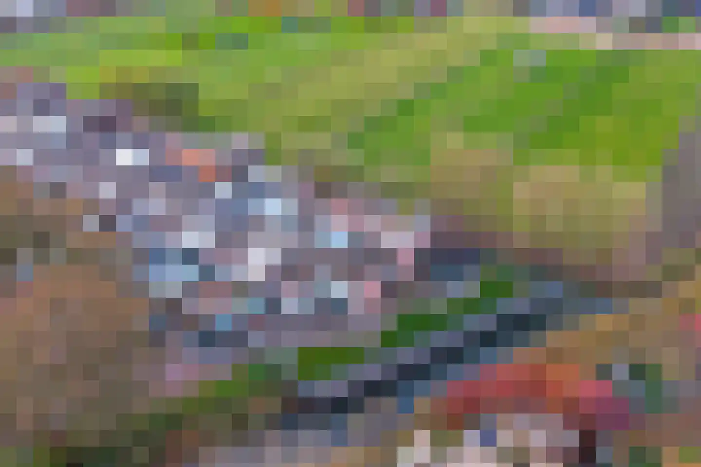 Poldersmeetlaan 53 Zuidland thumbnail 33