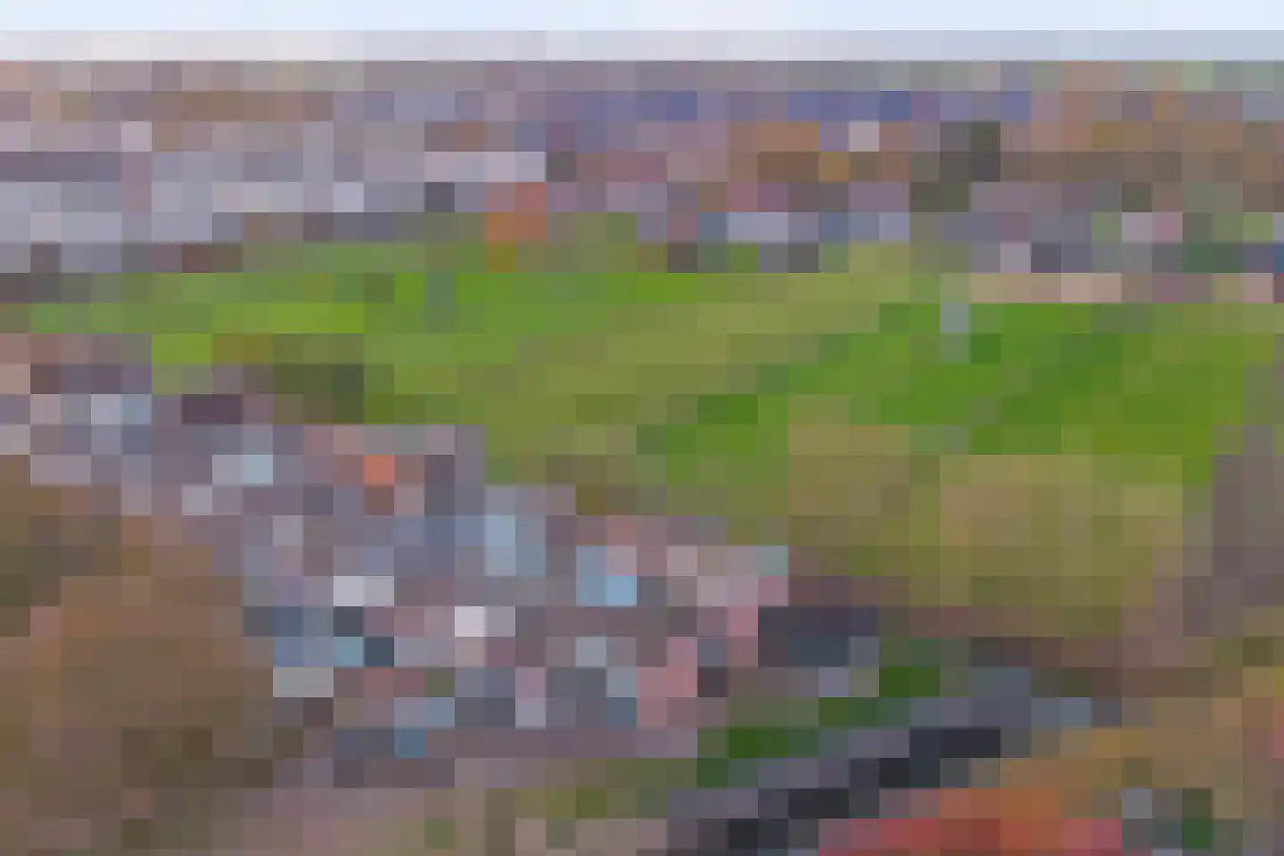 Poldersmeetlaan 53 Zuidland thumbnail 34