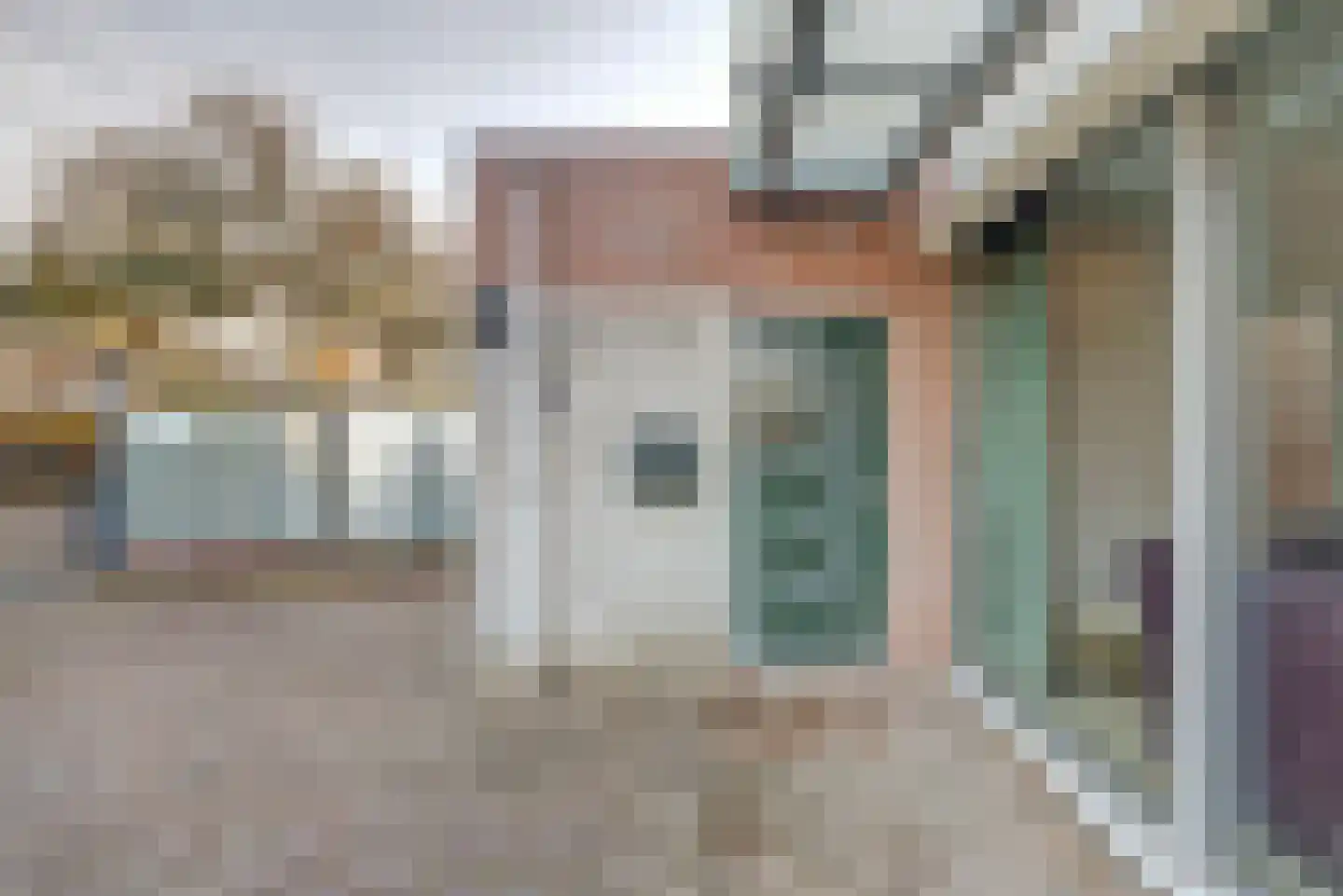 Poldersmeetlaan 53 Zuidland thumbnail 4