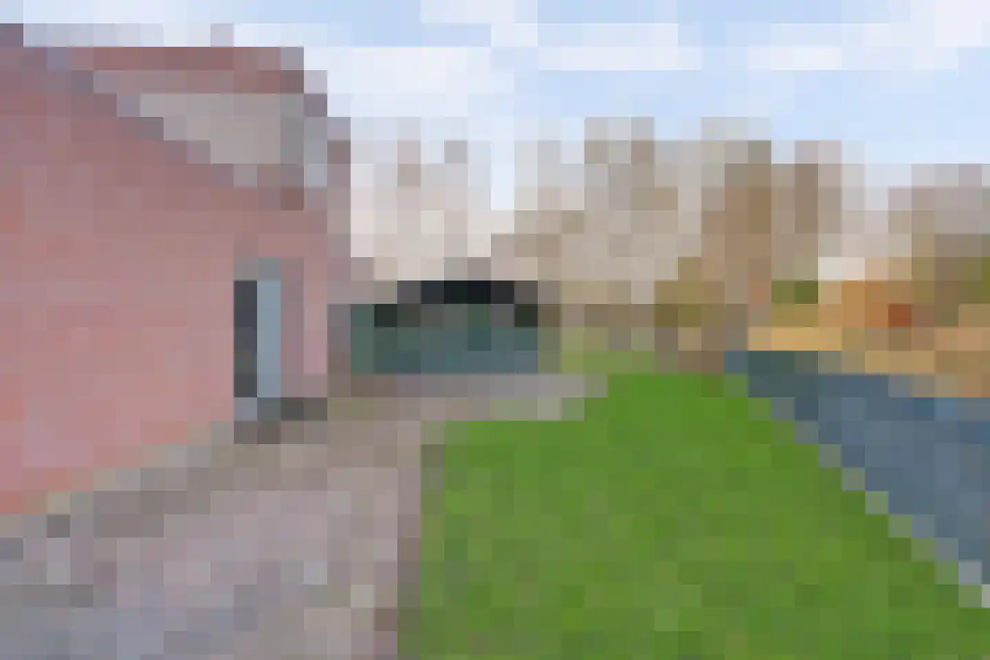 Poldersmeetlaan 53 Zuidland thumbnail 5