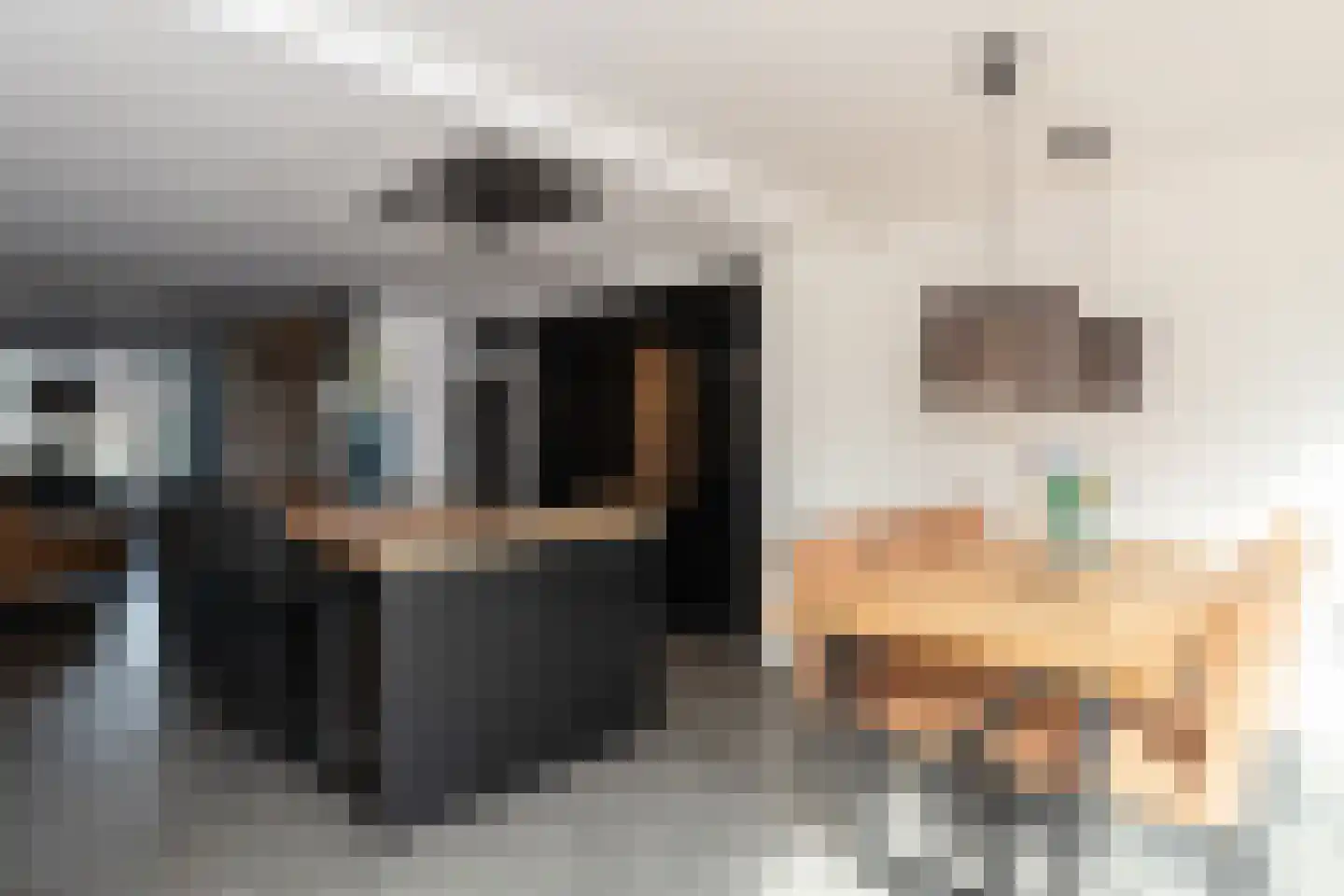Polderstraat 101 Alblasserdam thumbnail 12