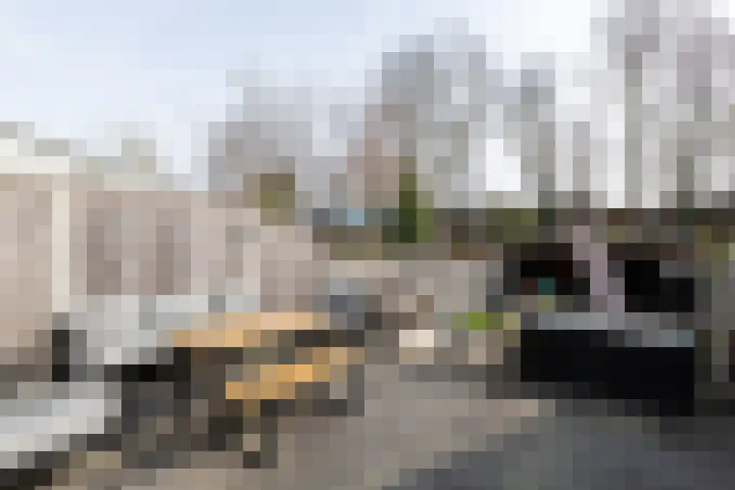 Polderstraat 101 Alblasserdam thumbnail 24
