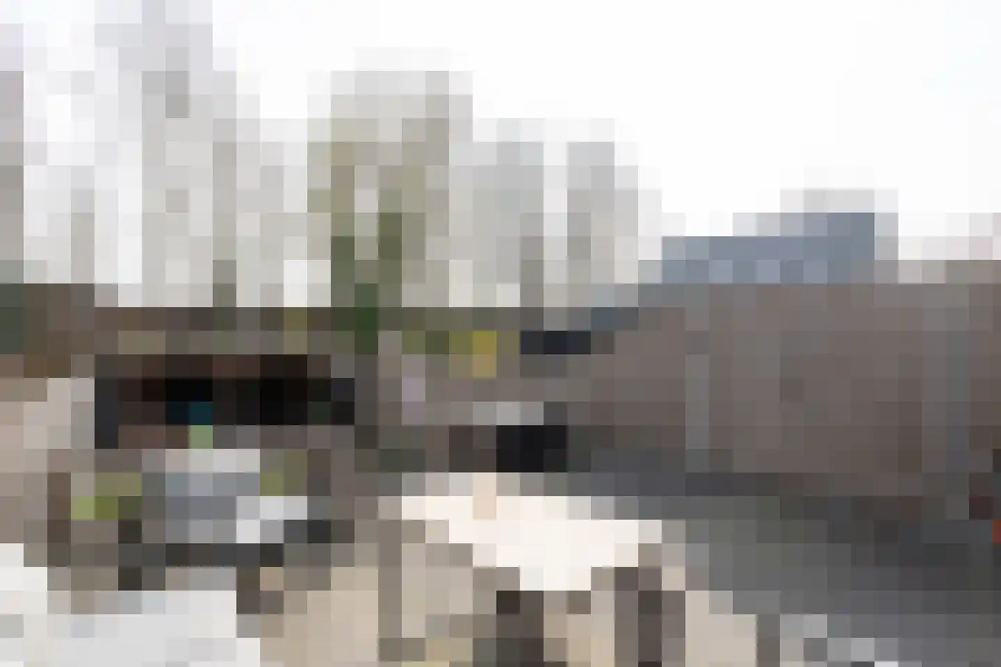 Polderstraat 101 Alblasserdam thumbnail 25