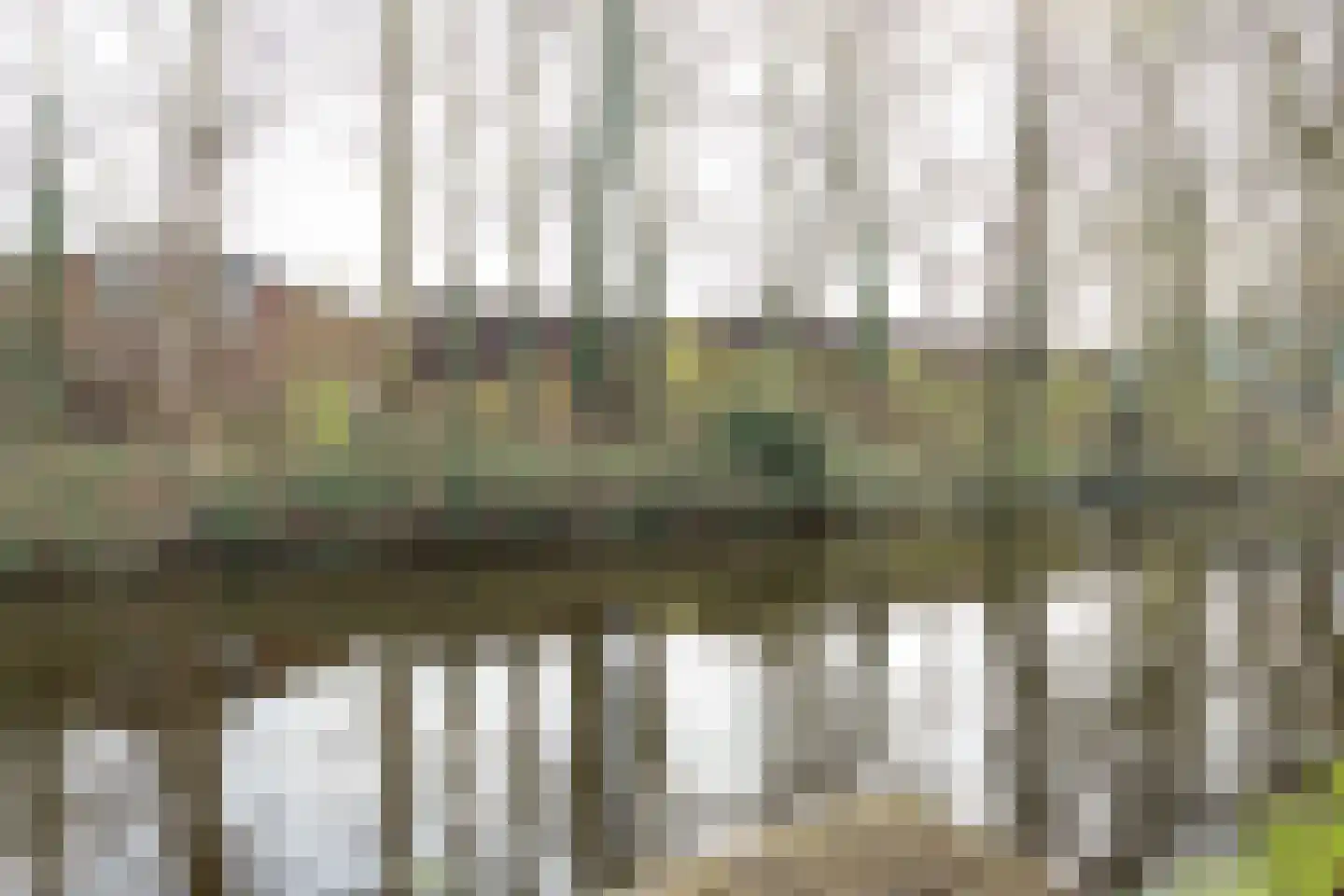 Polderstraat 101 Alblasserdam thumbnail 32