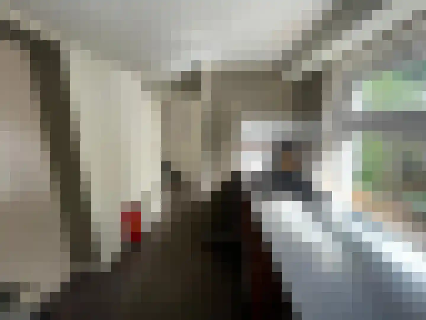 Polderstraat 11 Groningen thumbnail 13