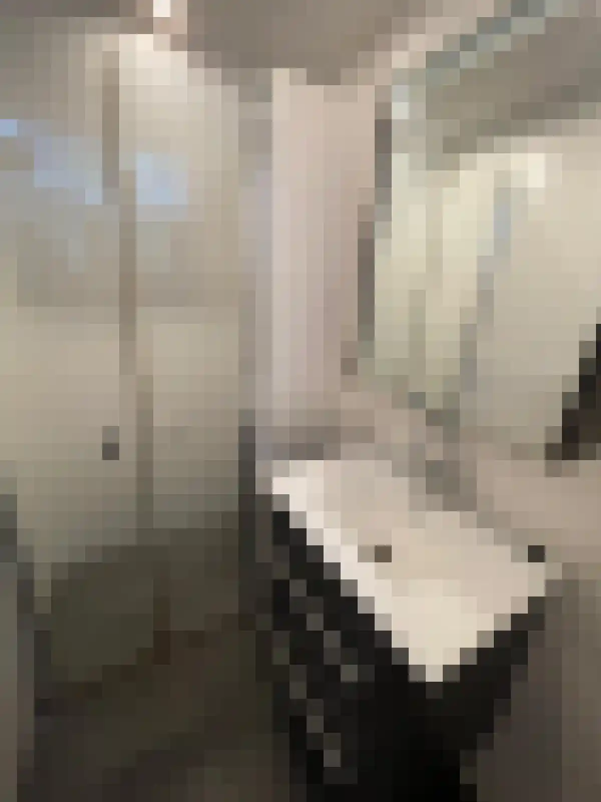 Polderstraat 11 Groningen thumbnail 25