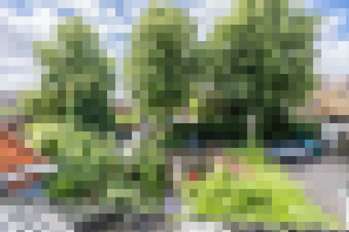Polderstraat 11 Groningen thumbnail 26