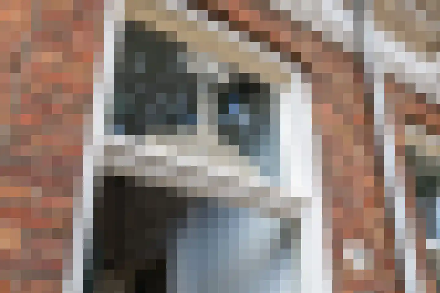 Polderstraat 11 Groningen thumbnail 4
