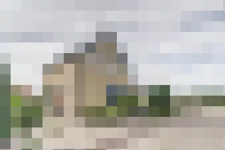 Polderstraat 11 Sprundel thumbnail 31