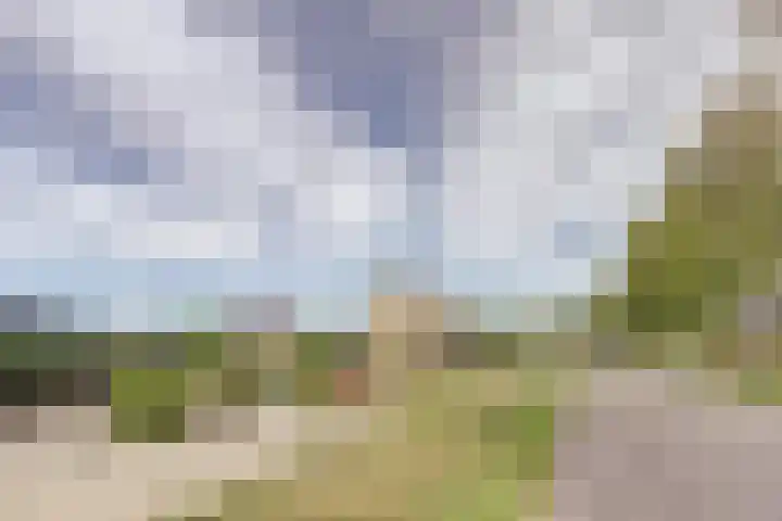 Polderstraat 11 Sprundel thumbnail 39