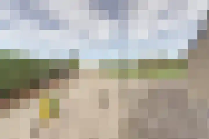 Polderstraat 11 Sprundel thumbnail 41