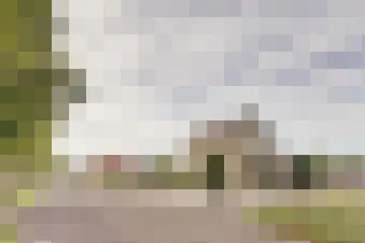 Polderstraat 11 Sprundel thumbnail 5