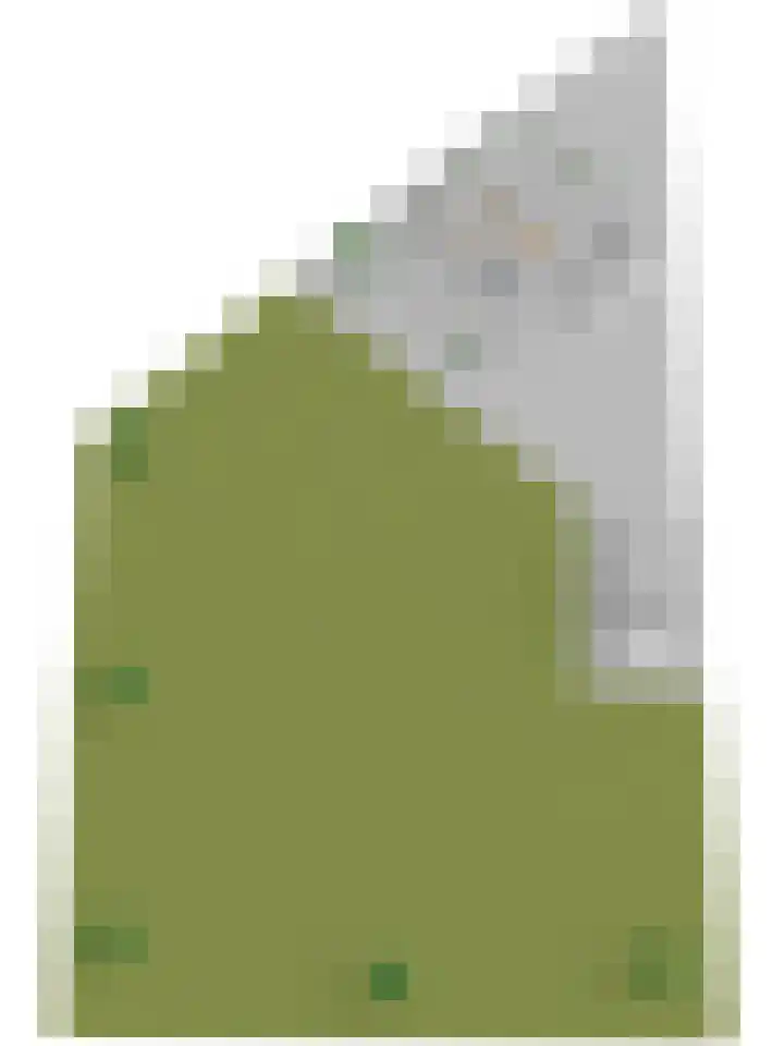 Polderstraat 11 Sprundel thumbnail 55