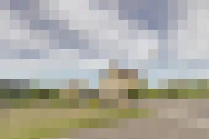 Polderstraat 11 Sprundel thumbnail 6