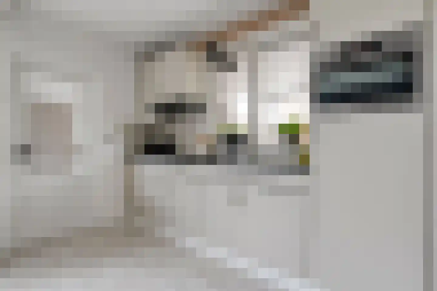 Polderstraat 12 Nijeveen thumbnail 10
