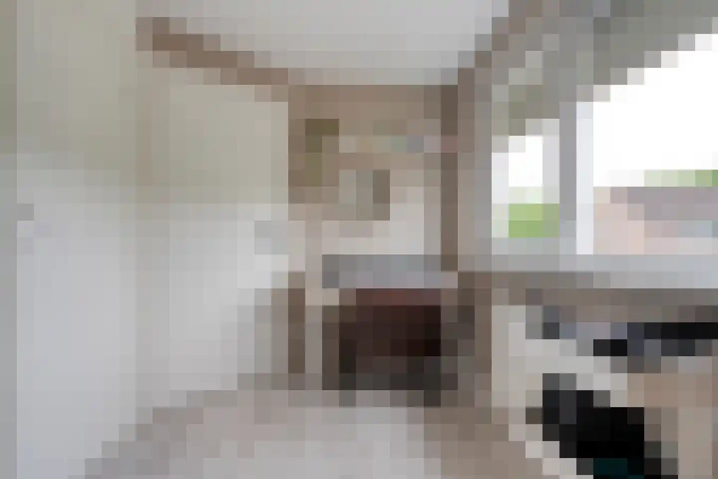 Polderstraat 12 Nijeveen thumbnail 23