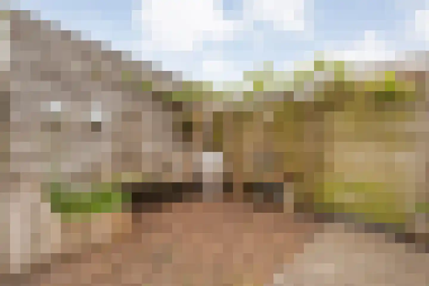 Polderstraat 12 Nijeveen thumbnail 33