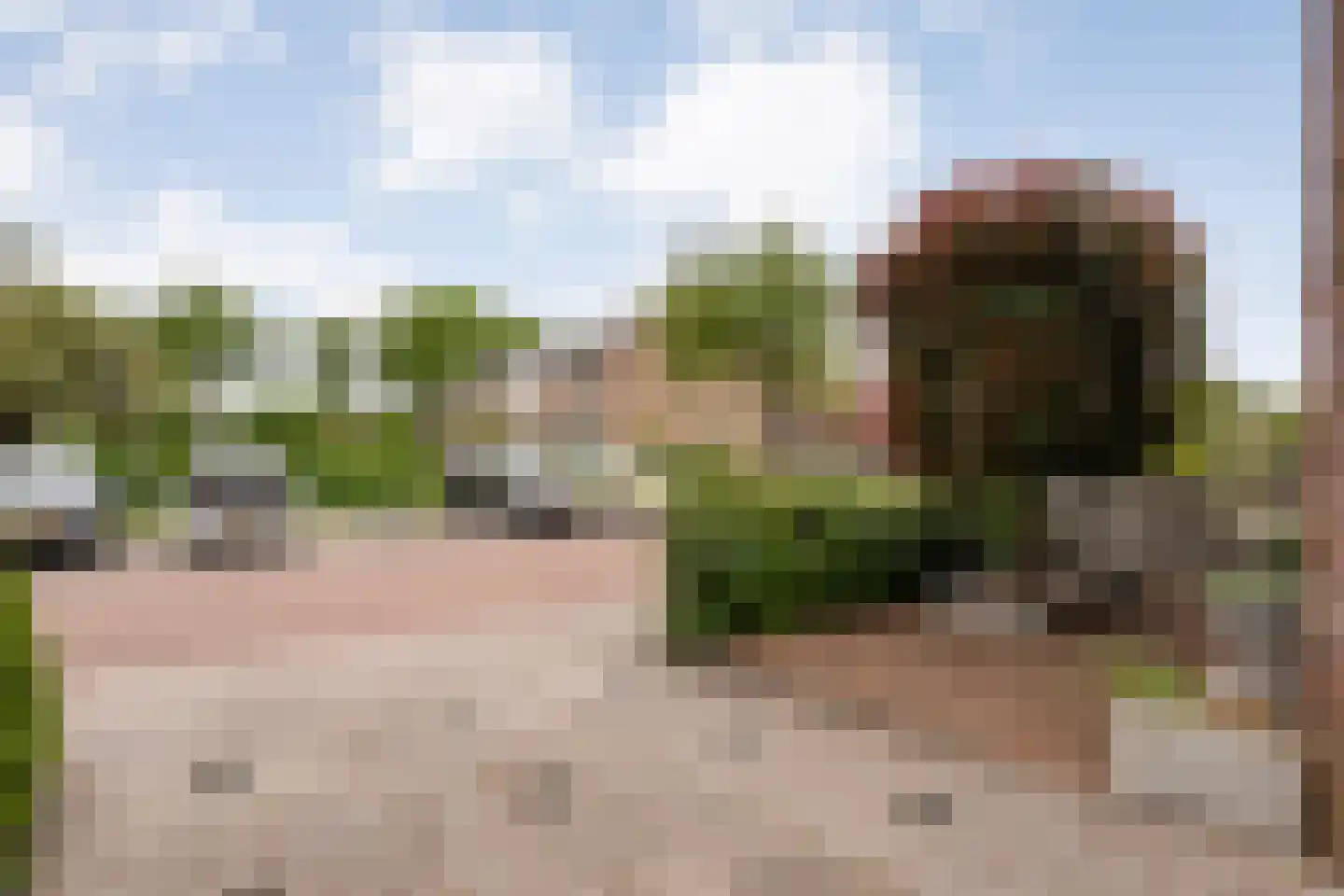 Polderstraat 12 Nijeveen thumbnail 39