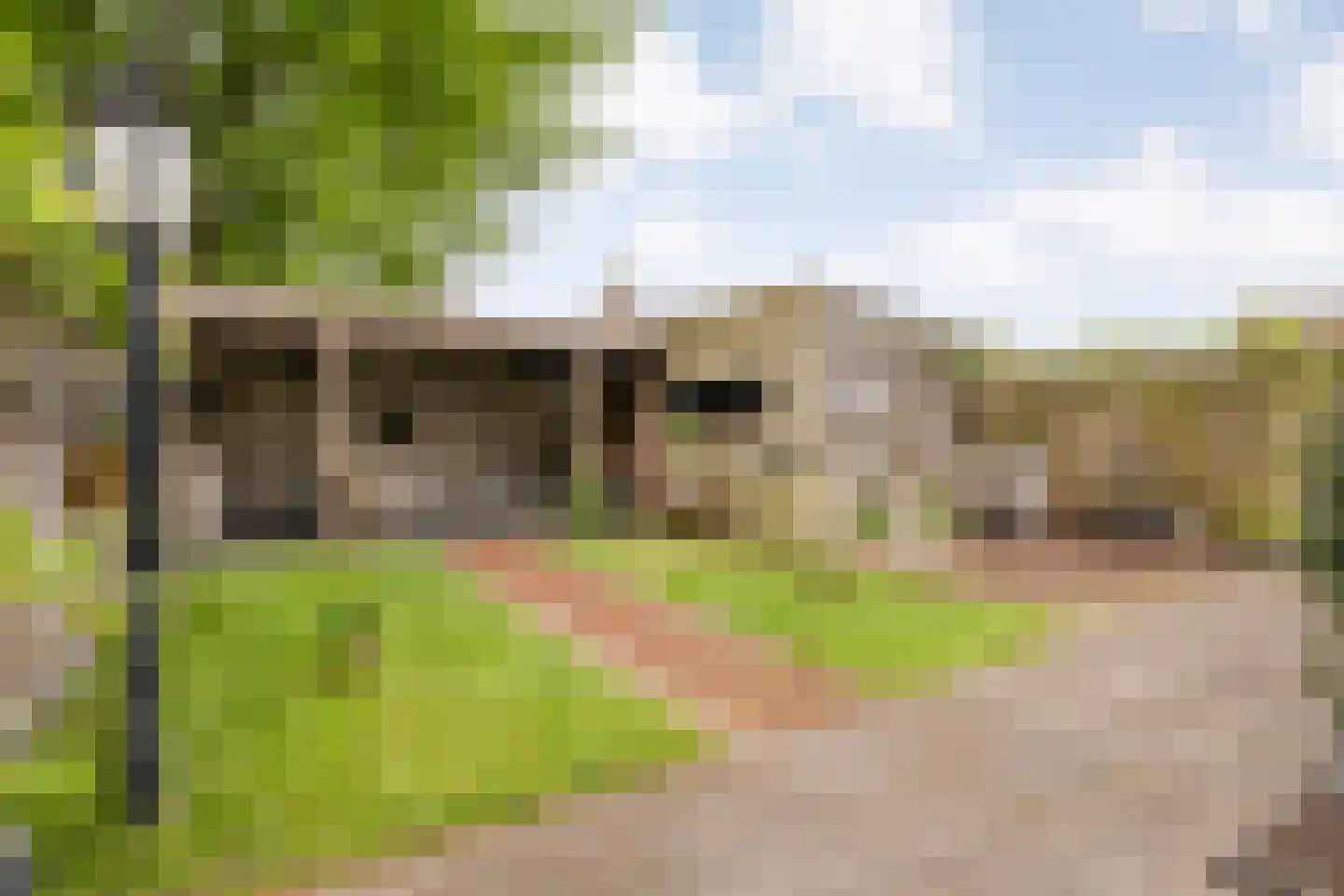 Polderstraat 12 Nijeveen thumbnail 4