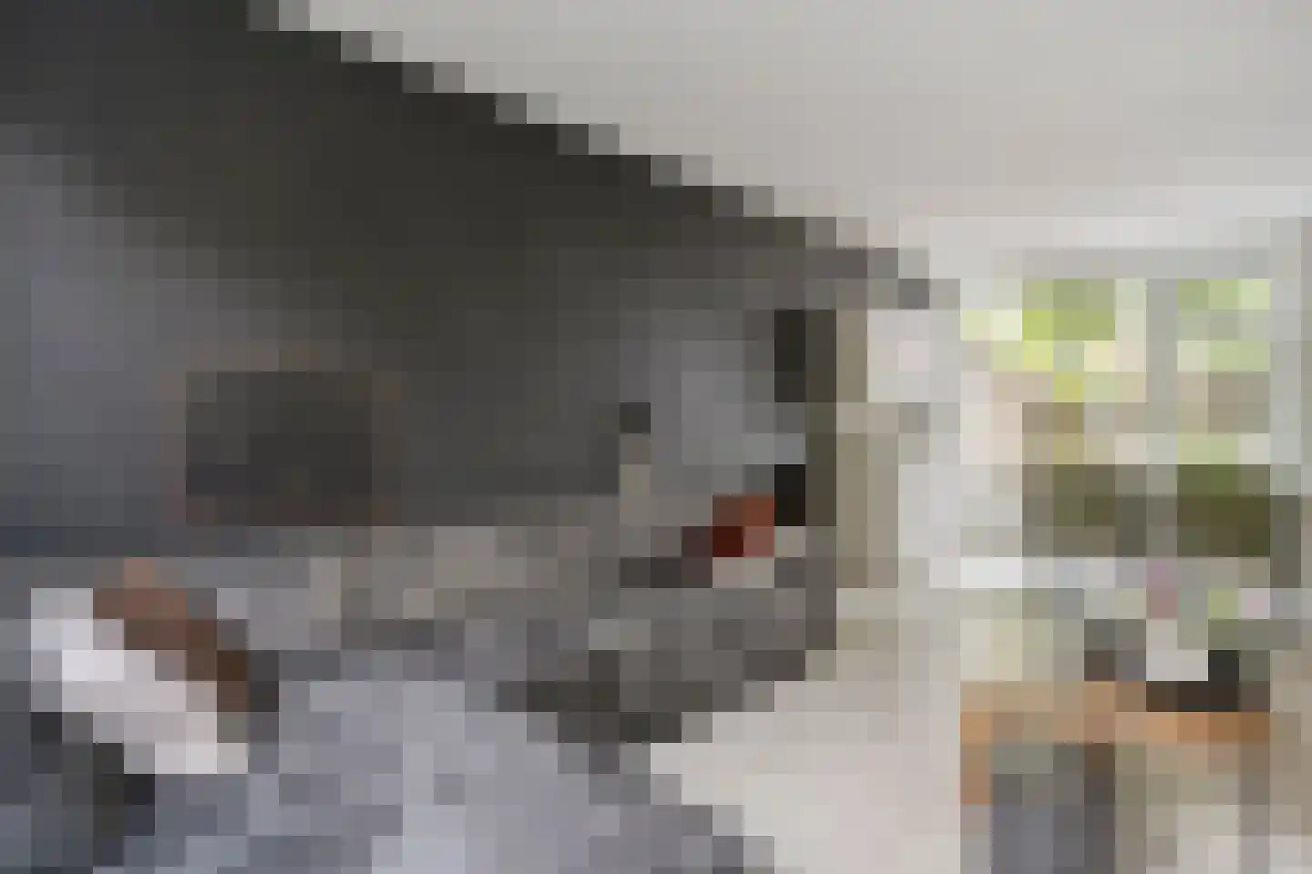 Polderstraat 12 Nijeveen thumbnail 7