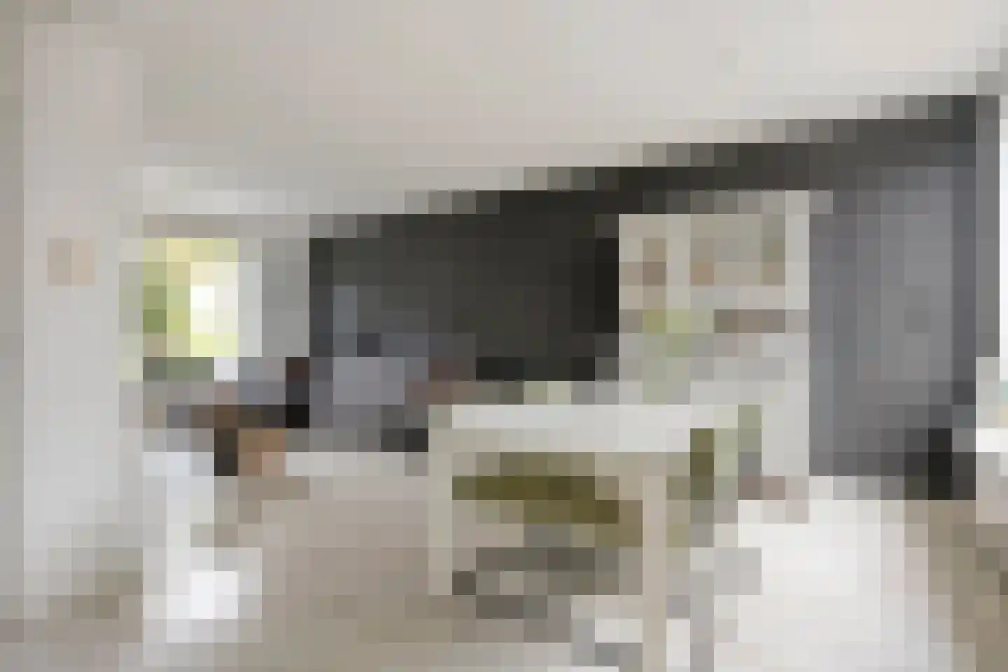 Polderstraat 12 Nijeveen thumbnail 8