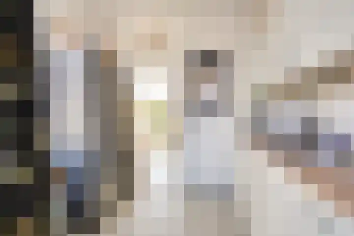Polderstraat 13 Leeuwarden thumbnail 7