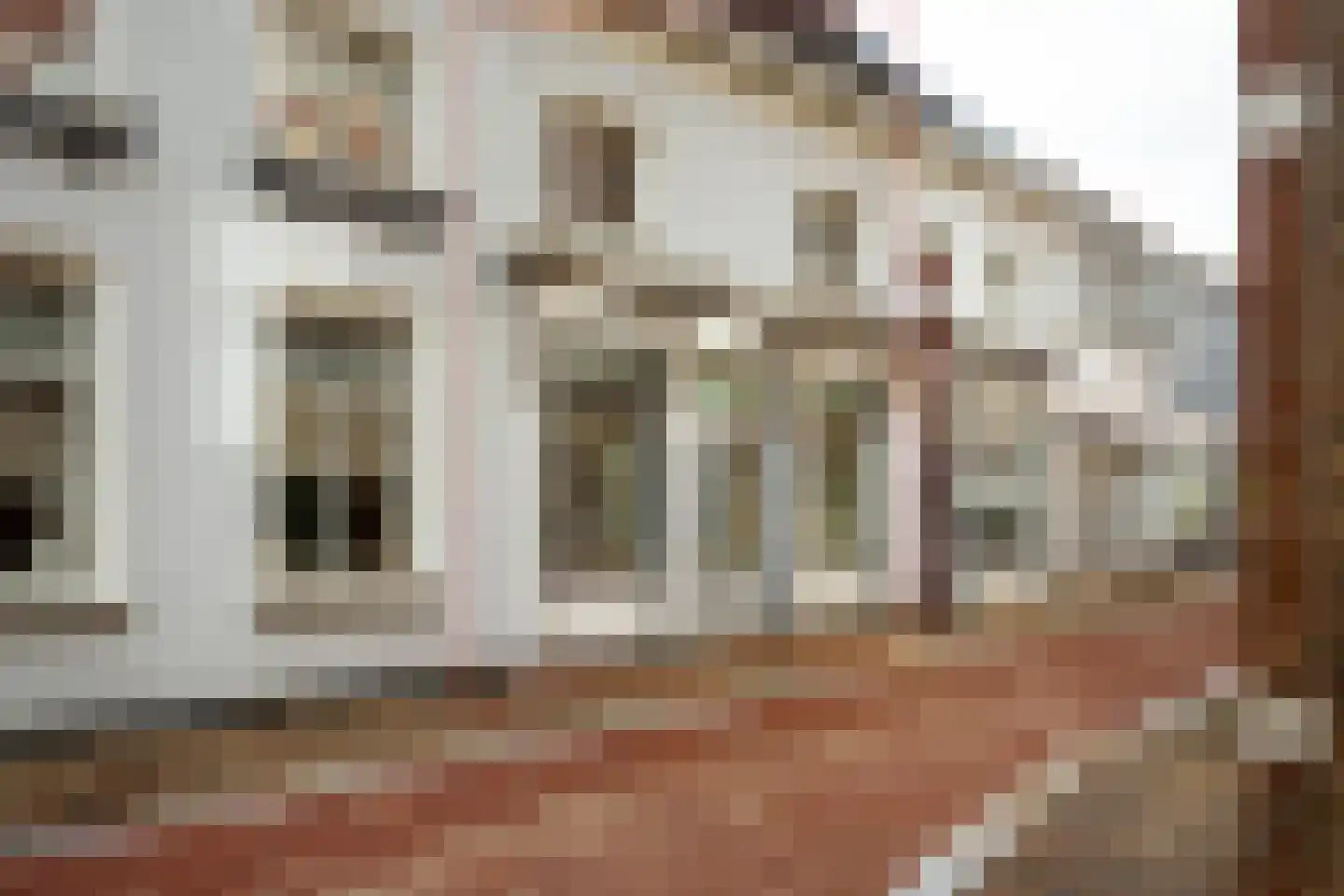 Polderstraat 18 Oudenbosch thumbnail 29
