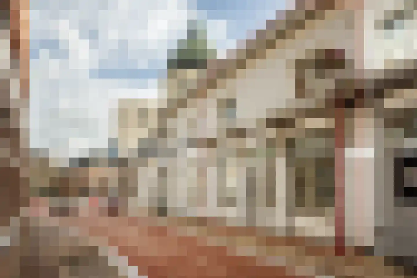 Polderstraat 18 Oudenbosch thumbnail 31