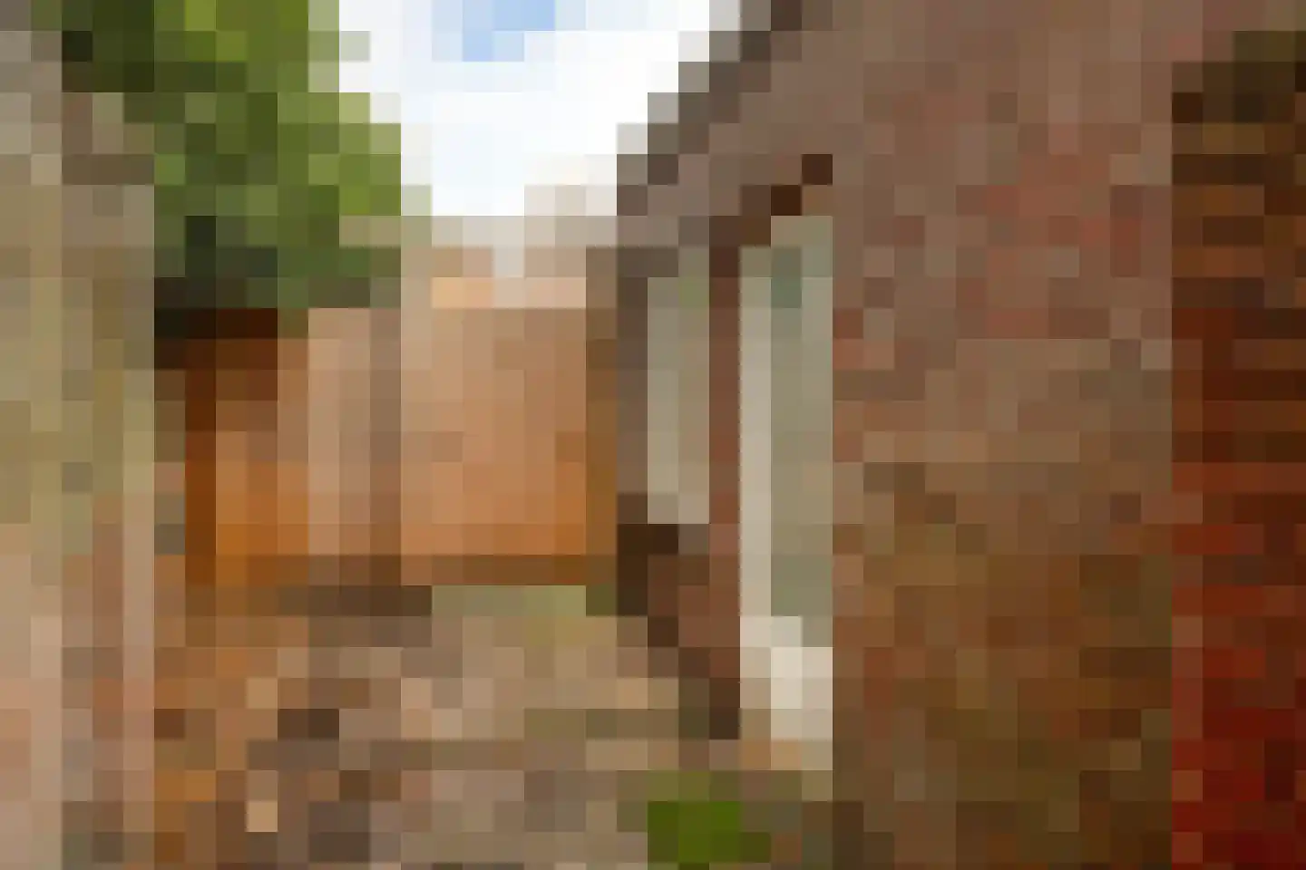 Polderstraat 18 Oudenbosch thumbnail 34