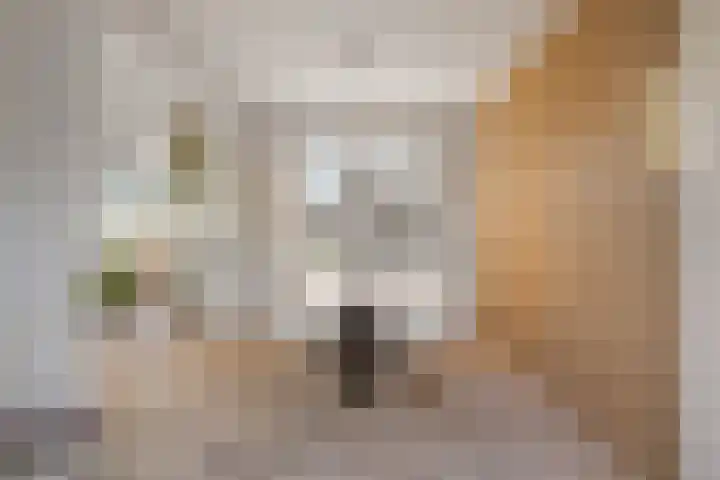 Polderstraat 19 Veldhoven thumbnail 17