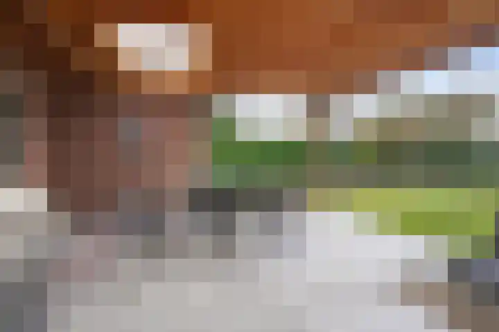 Polderstraat 19 Veldhoven thumbnail 37