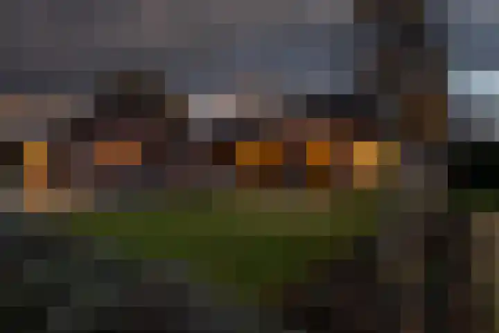 Polderstraat 19 Veldhoven thumbnail 41