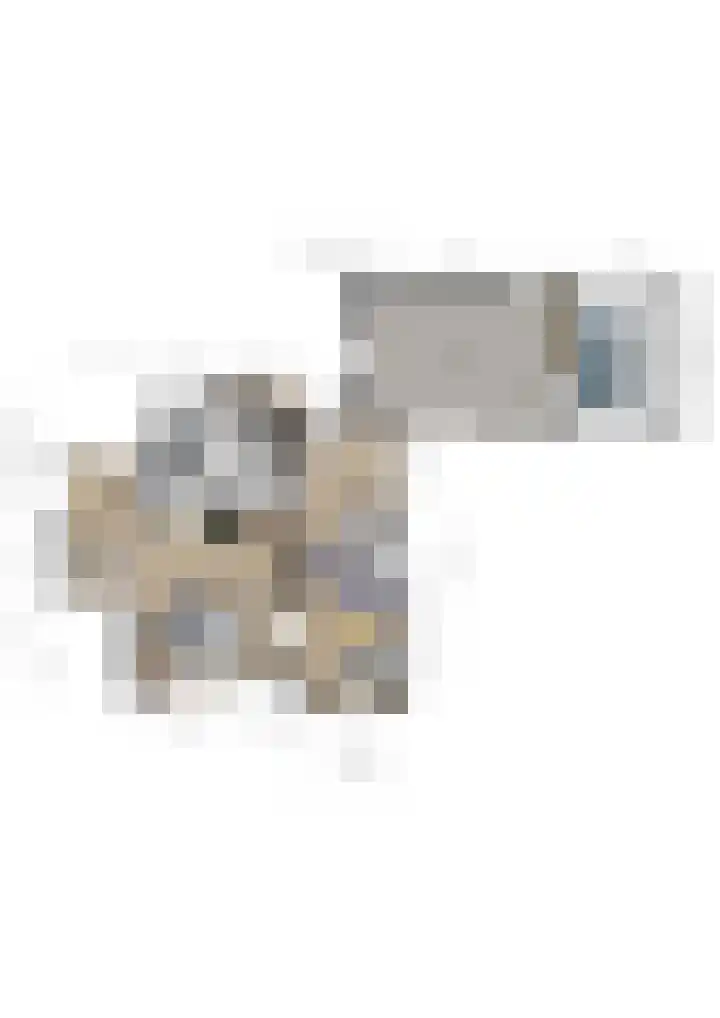 Polderstraat 19 Veldhoven thumbnail 47