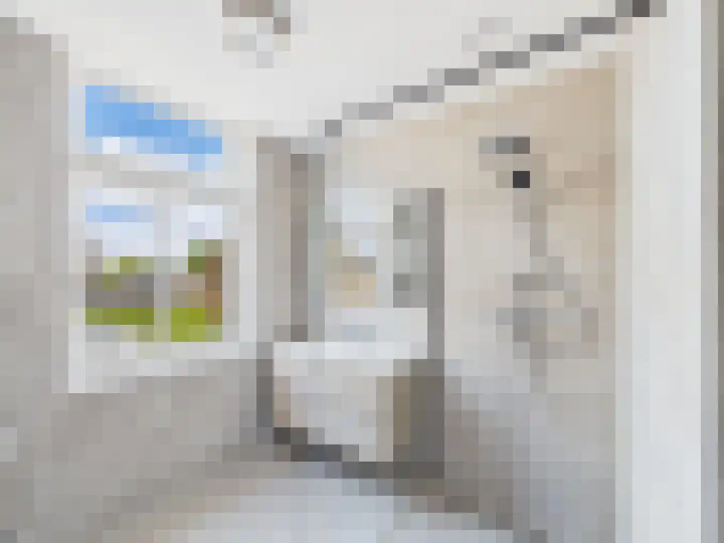 Polderstraat 2 a Zaamslag thumbnail 11