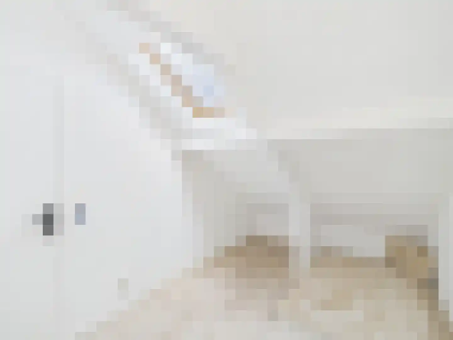 Polderstraat 2 b Zaamslag thumbnail 15