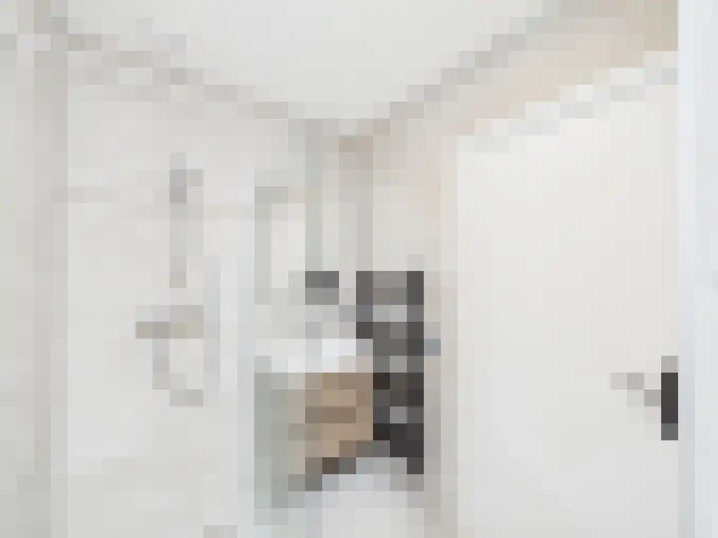 Polderstraat 2 b Zaamslag thumbnail 8